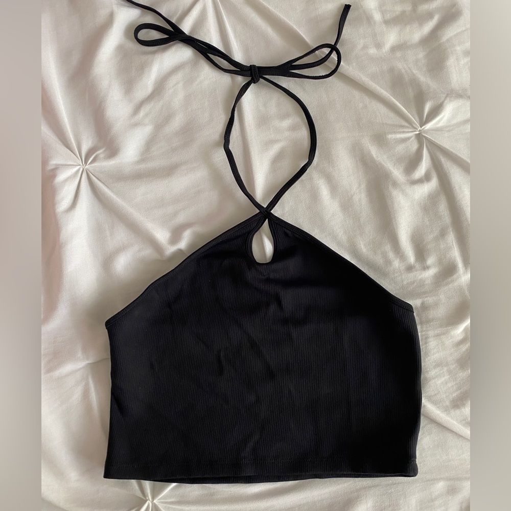 Zara Halter Crop Top